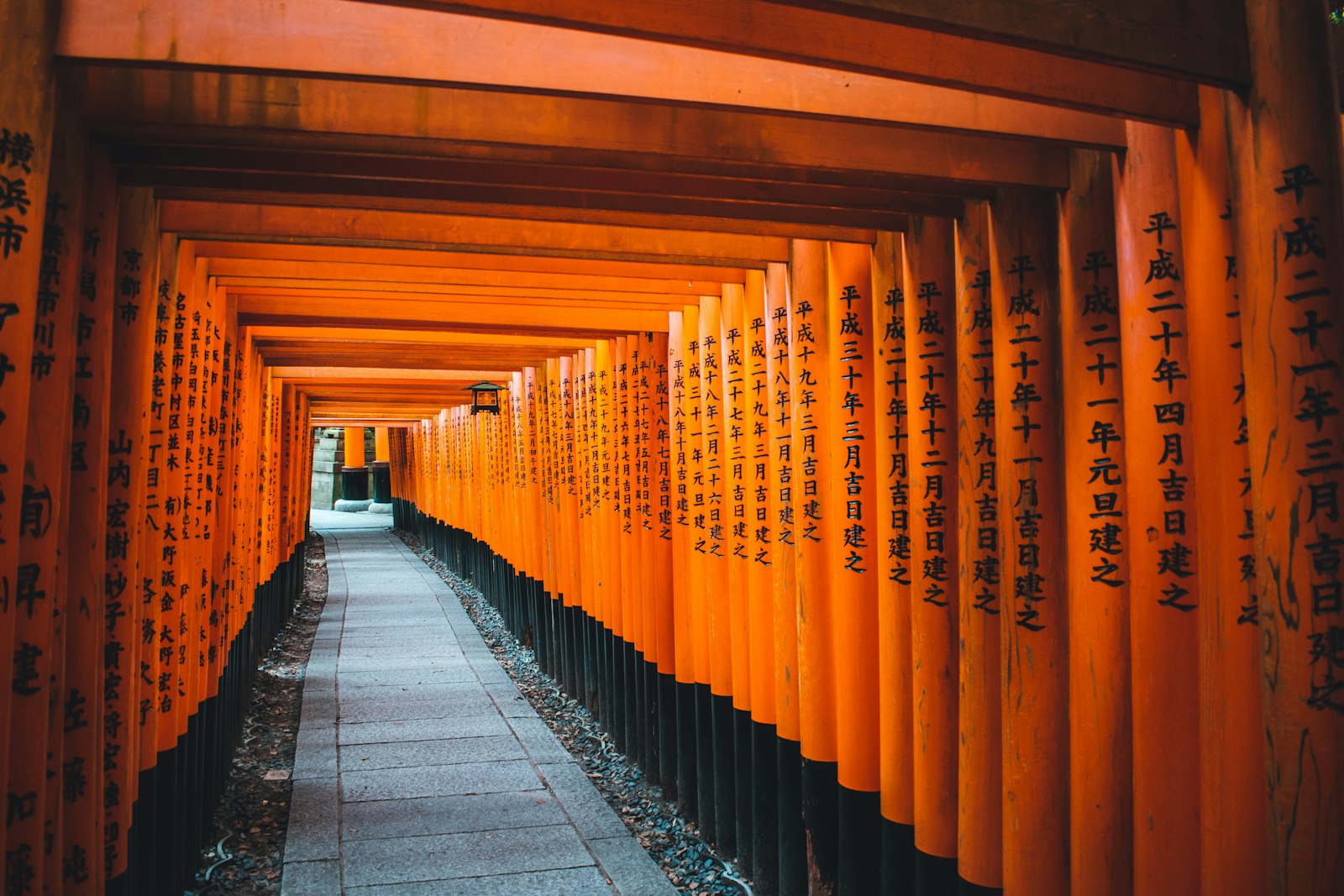 Japan from Canada: First-Trip Travel Guide